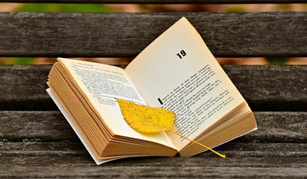 Dimensi Psikologis dalam Novel yang Wajib Diketahui