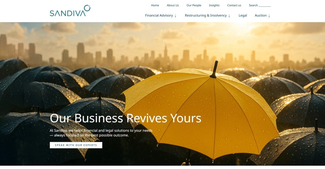 sandiva business consultant